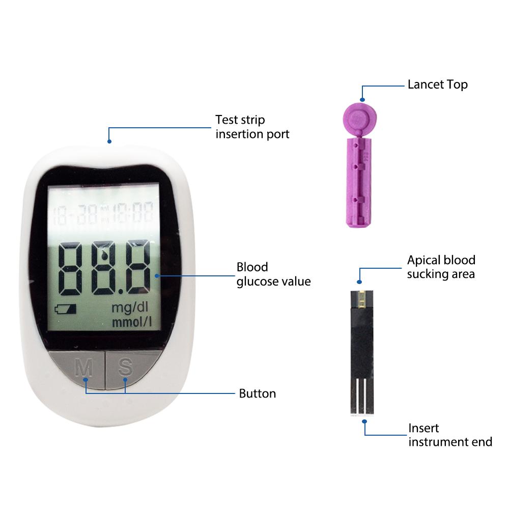 Blood Glucose Meter Glucometer Kit with test strips and lancets, designed for home diabetes testing.