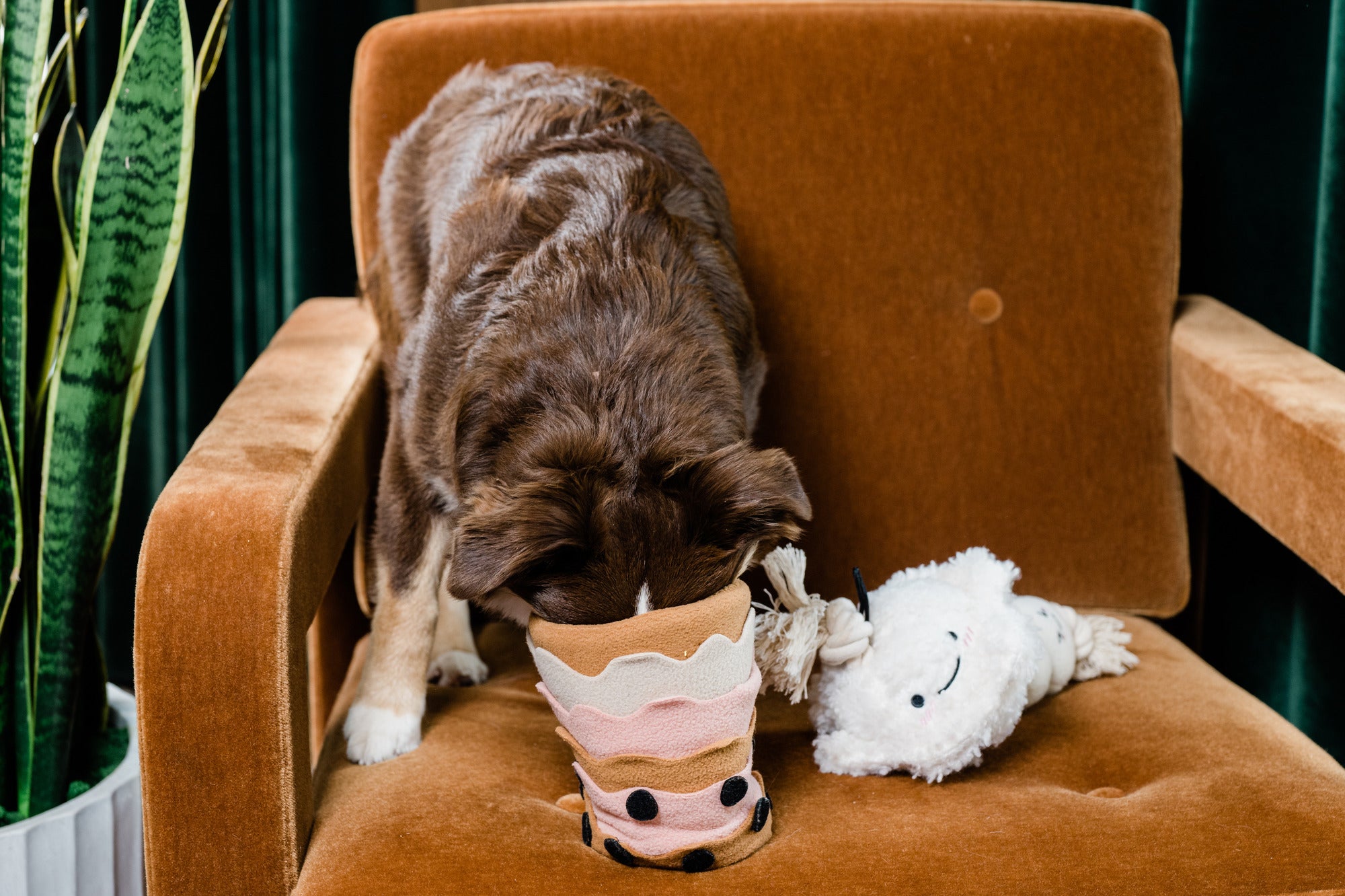 Boba Time snuffle toy designed for dogs, featuring a fun and interactive design that encourages slow feeding and mental stimulation.