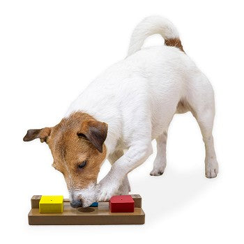 Brainiac Flip-Flop-Fido Treat Dispensing Pet Toy with colorful movable blocks and treat compartments, designed for dog engagement and mental stimulation.