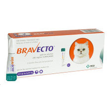 Bravecto 250mg Spot-On Solution pipette for medium cats, designed for flea and tick prevention.