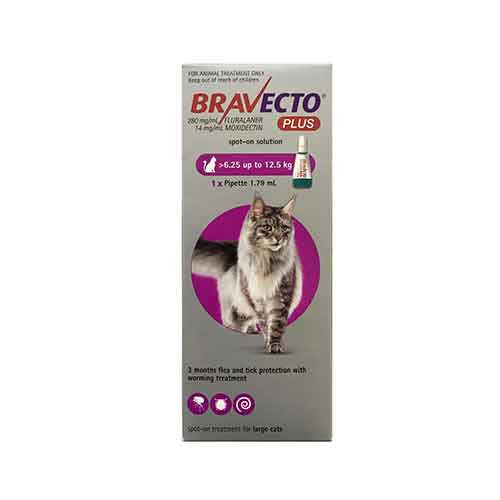 Bravecto Plus Flea & Tick Spot-On Treatment for Cats in a pipette, showcasing its packaging and dosage.