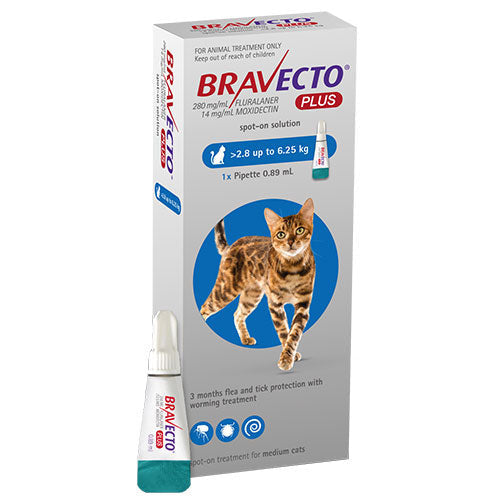 Bravecto Plus Flea & Tick Spot-On Treatment for Cats in a pipette, showcasing its packaging and dosage.