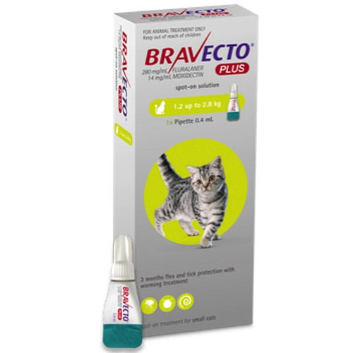 Bravecto Plus Flea & Tick Spot-On Treatment for Cats in a pipette, showcasing its packaging and dosage.