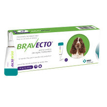 Bravecto Spot-On 500mg pipette for medium dogs, designed for flea and tick treatment, featuring a clear label and easy-to-use applicator.
