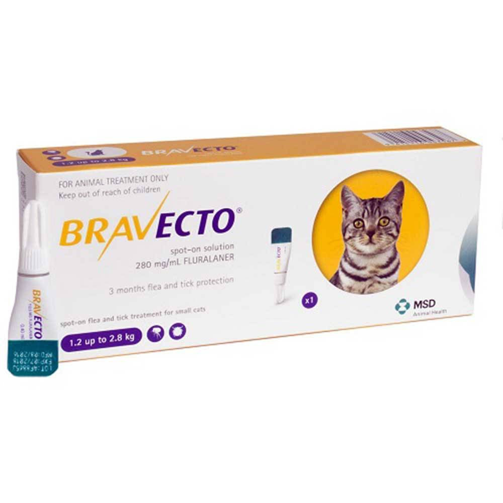 Bravecto Spot-On Flea & Tick Solution for Dogs in a pipette, designed for easy topical application to protect dogs from fleas and ticks.