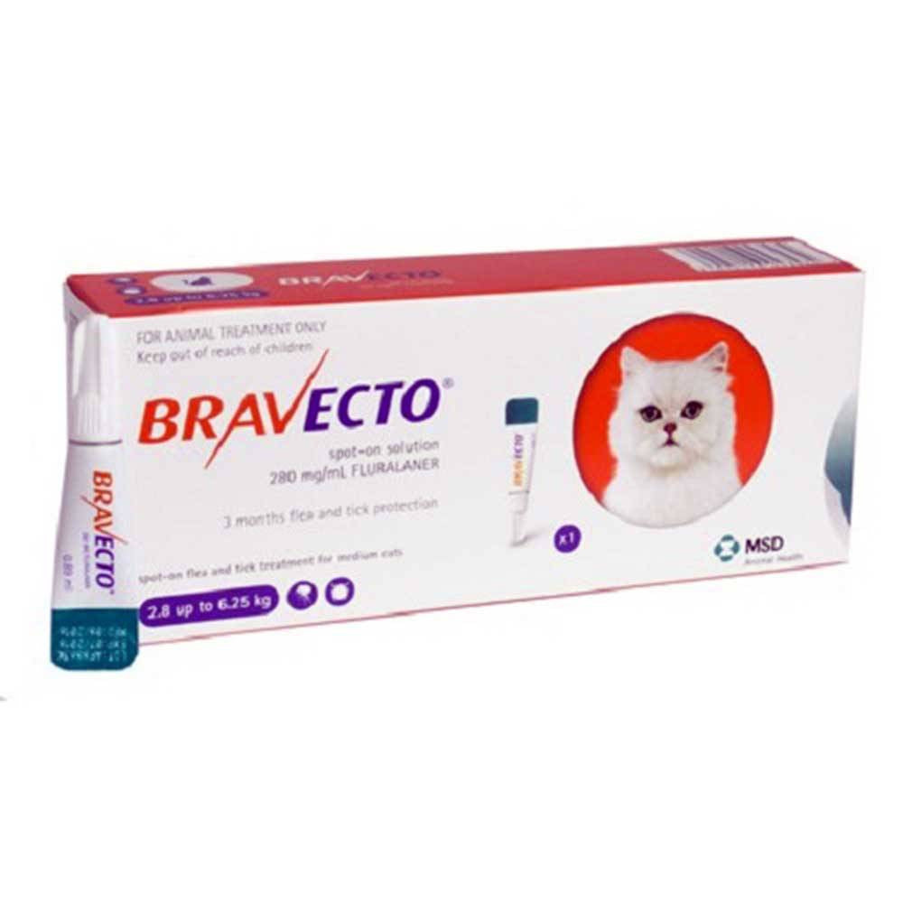 Bravecto Spot-On Flea & Tick Solution for Dogs in a pipette, designed for easy topical application to protect dogs from fleas and ticks.