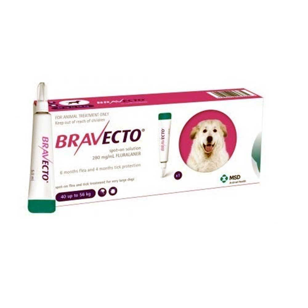 Bravecto Spot-On Flea & Tick Solution for Dogs in a pipette, designed for easy topical application to protect dogs from fleas and ticks.