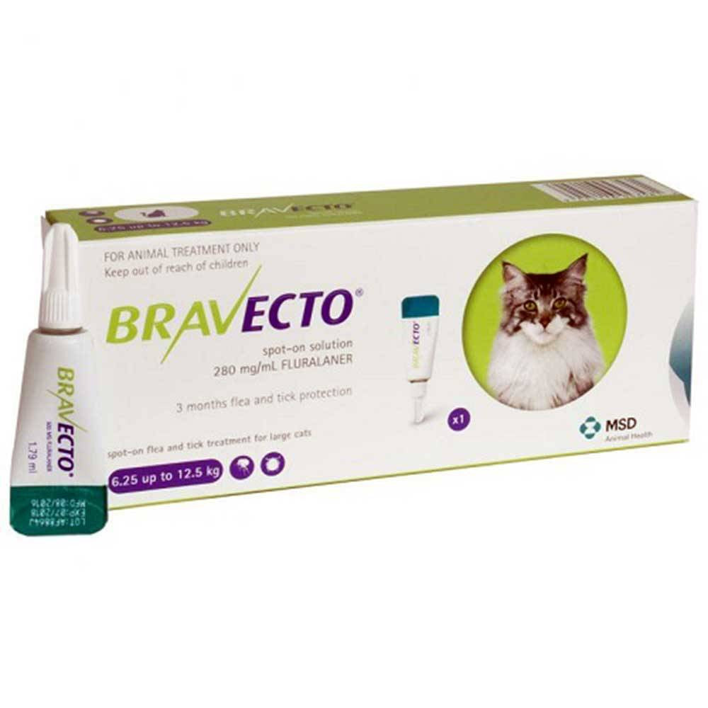 Bravecto Spot-On Solution for Cats in a pipette container, designed for easy application to protect cats from fleas and ticks.