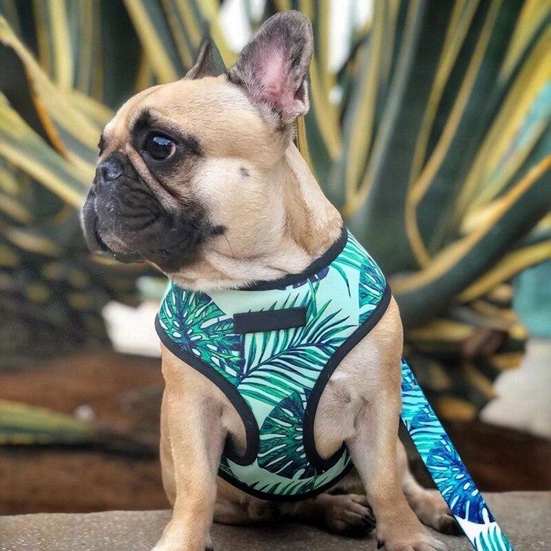 Breathable small dog harness in stylish print, designed for comfort and safety for small pets like Chihuahuas and Pugs.