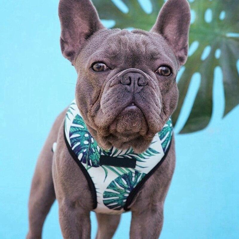 Breathable small dog harness in stylish print, designed for comfort and safety for small pets like Chihuahuas and Pugs.