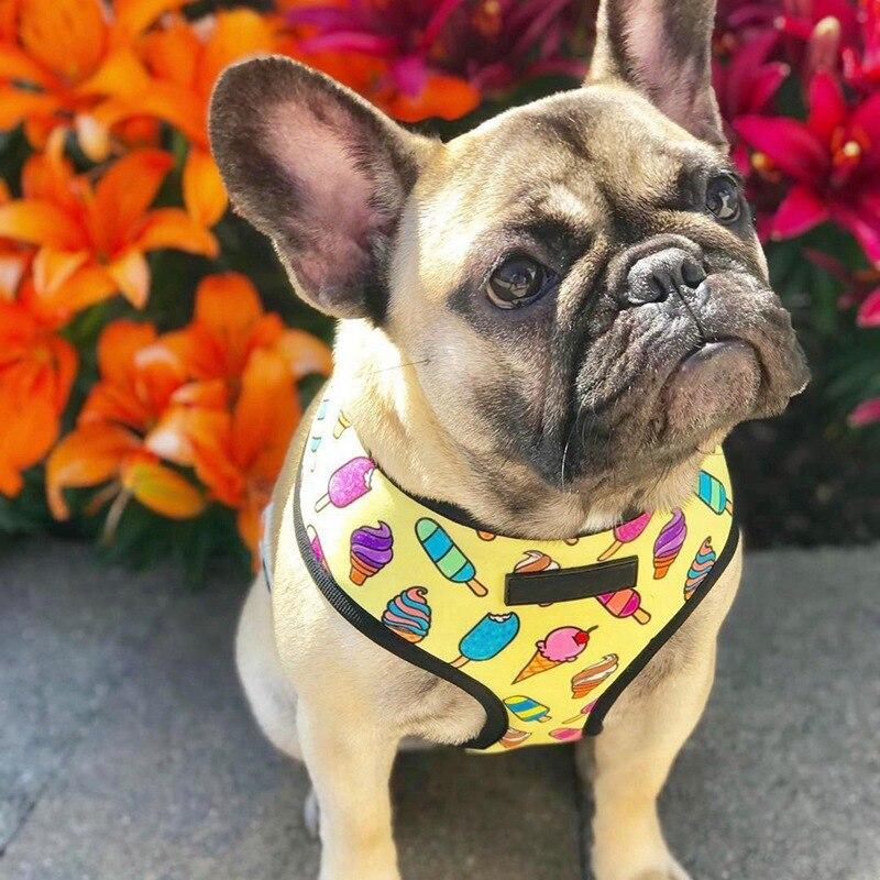 Breathable small dog harness in stylish print, designed for comfort and safety for small pets like Chihuahuas and Pugs.