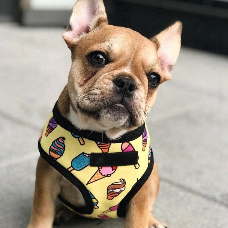 Breathable small dog harness in stylish print, designed for comfort and safety for small pets like Chihuahuas and Pugs.