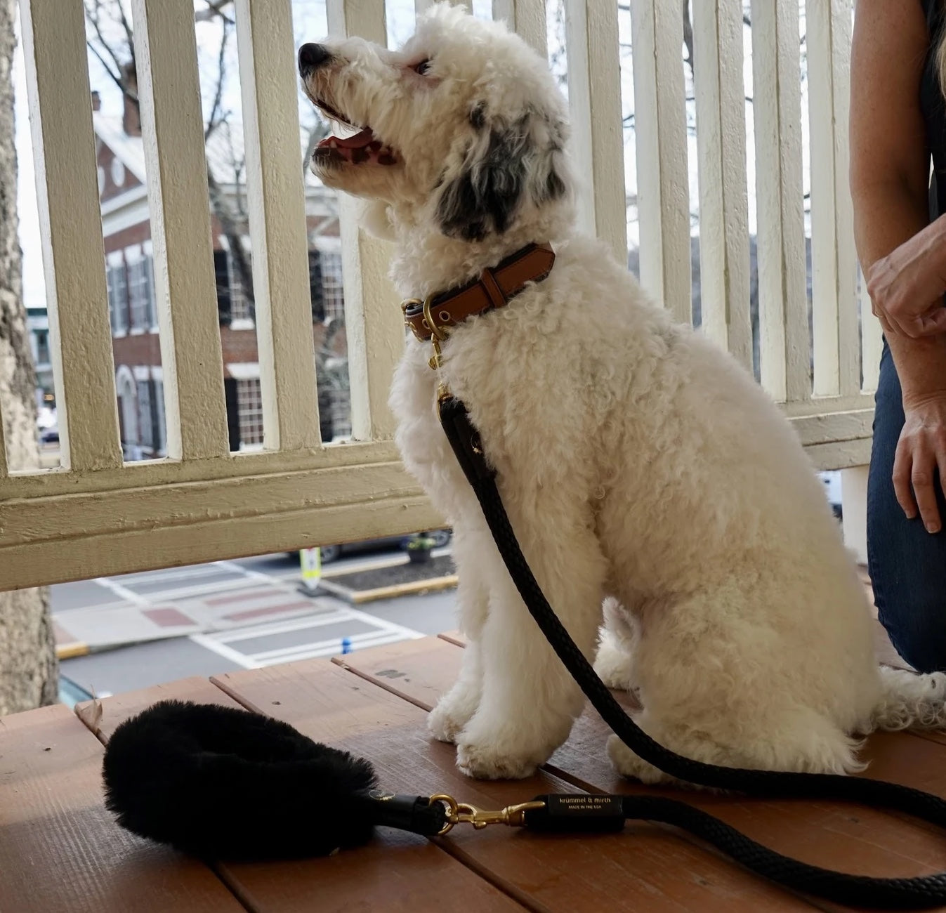 Bundle Shearling Fur Grip and Rope Leash for Dogs, featuring luxurious shearling grip and durable nylon leash in a stylish design.