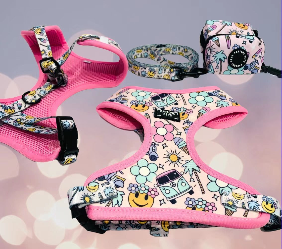 A complete dog walking set including a harness, collar, lead, and poop bag holder, designed for comfort and style in various sizes.