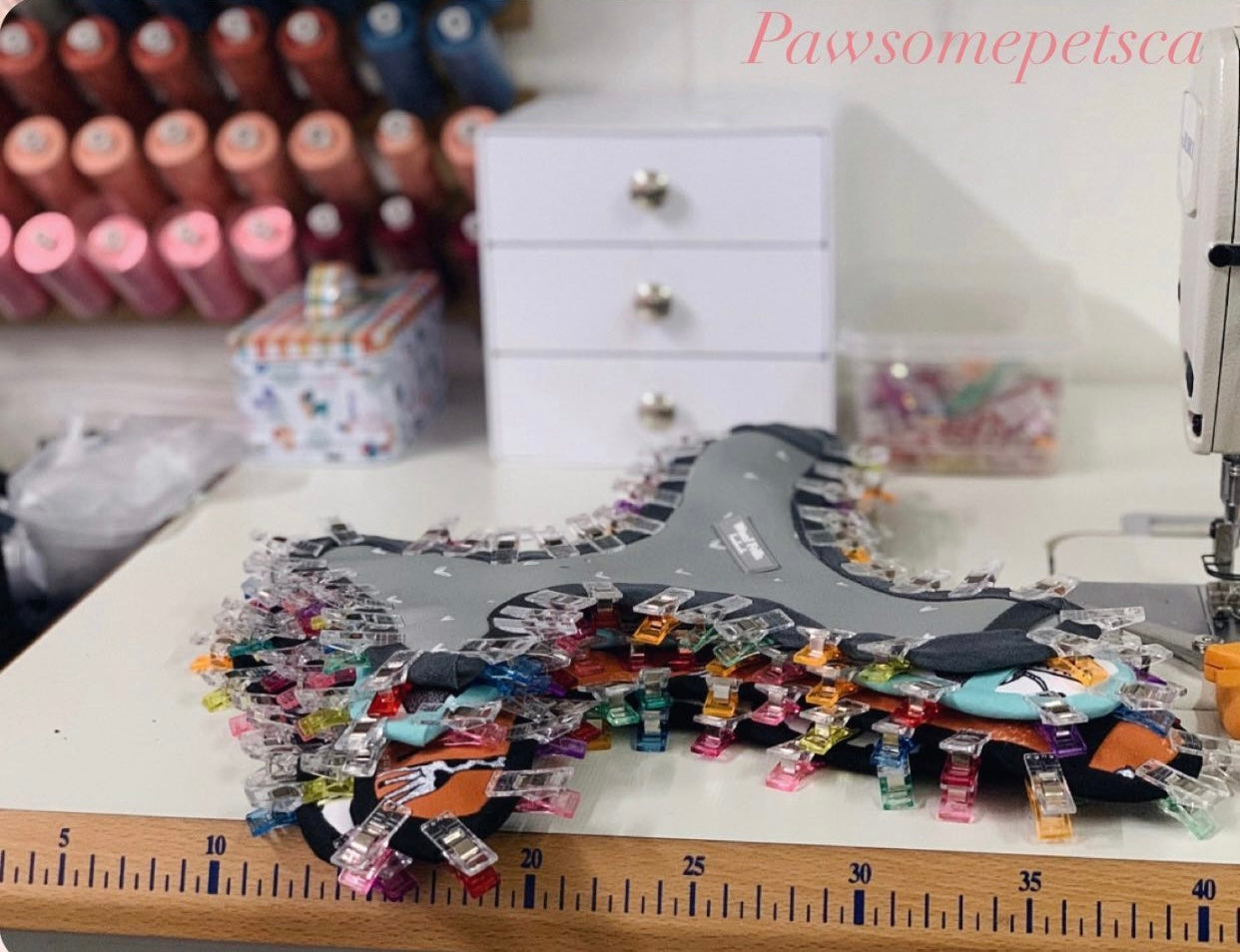 BUNDLE - UNDERWATER 7-piece pet accessory set including harness, leash, collar, waste bag holder, bowtie, and bandana in vibrant colors.