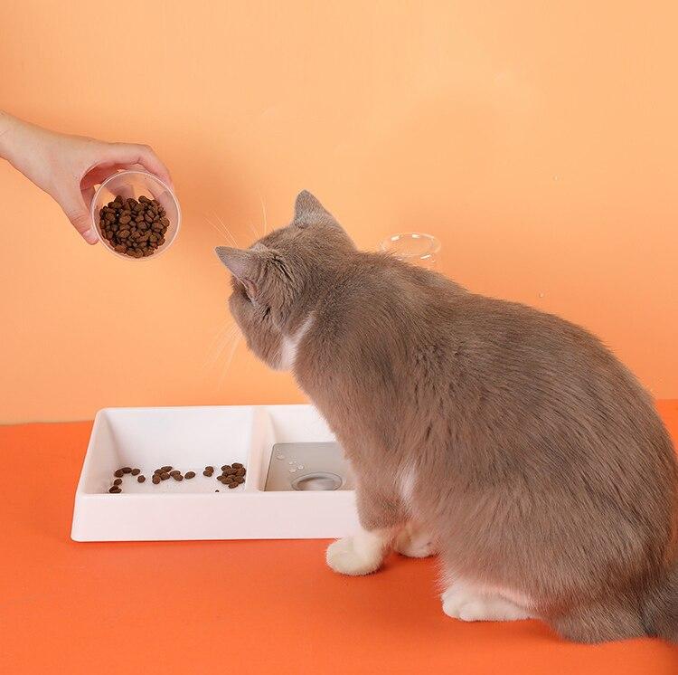 Cat Bowl Dog Water Feeder, a versatile automatic drinking fountain for cats and dogs, made of durable plastic with a gravity-powered water dispenser.