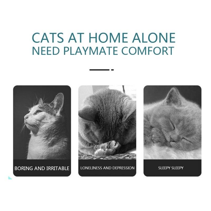 Interactive Cat Hunt Toy featuring a running mouse in a maze, designed for engaging play and exercise for cats.