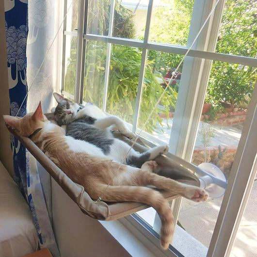 A cozy cat window seat hammock, designed for cats to relax and enjoy sunny views, featuring strong suction cups for secure mounting.