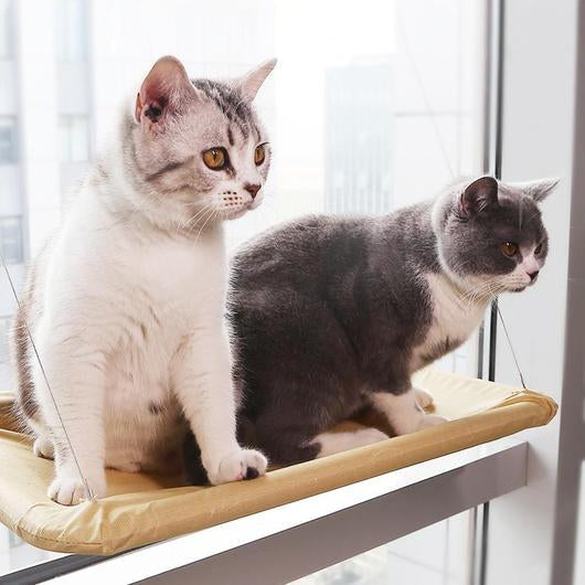 A cozy cat window seat hammock, designed for cats to relax and enjoy sunny views, featuring strong suction cups for secure mounting.