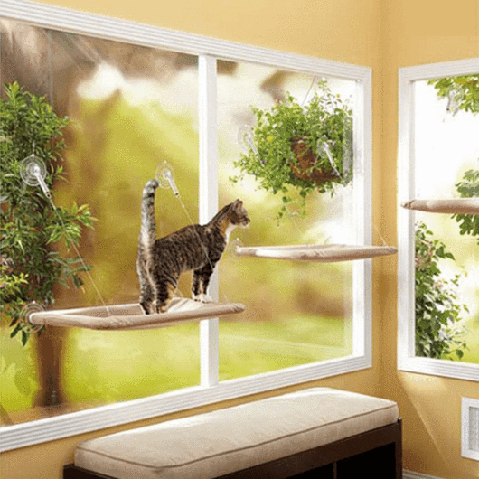 A cozy cat window seat hammock, designed for cats to relax and enjoy sunny views, featuring strong suction cups for secure mounting.