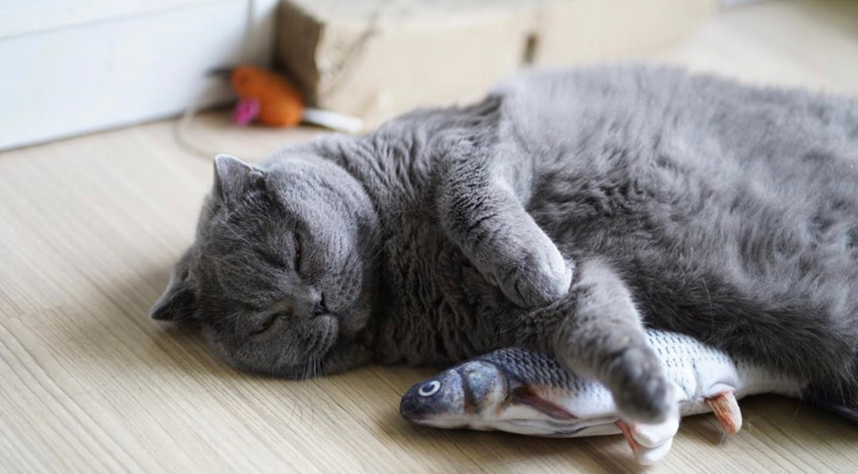 A colorful catnip fish toy designed for pets, featuring touch-motion sensors and realistic movements, perfect for engaging cats in play.