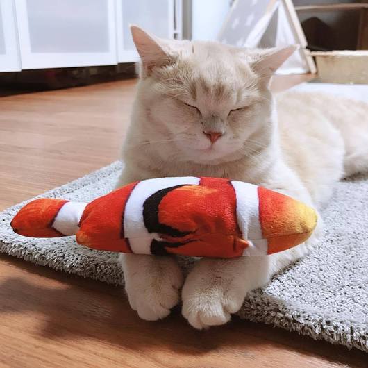 A colorful catnip fish toy designed for pets, featuring touch-motion sensors and realistic movements, perfect for engaging cats in play.