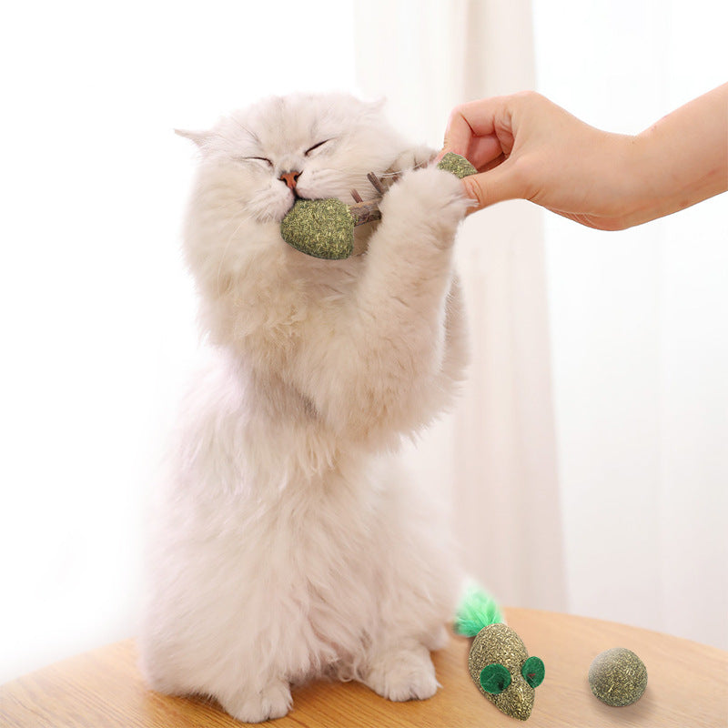 A colorful assortment of catnip treats for cats, showcasing various shapes and sizes, made from 100% natural ingredients.