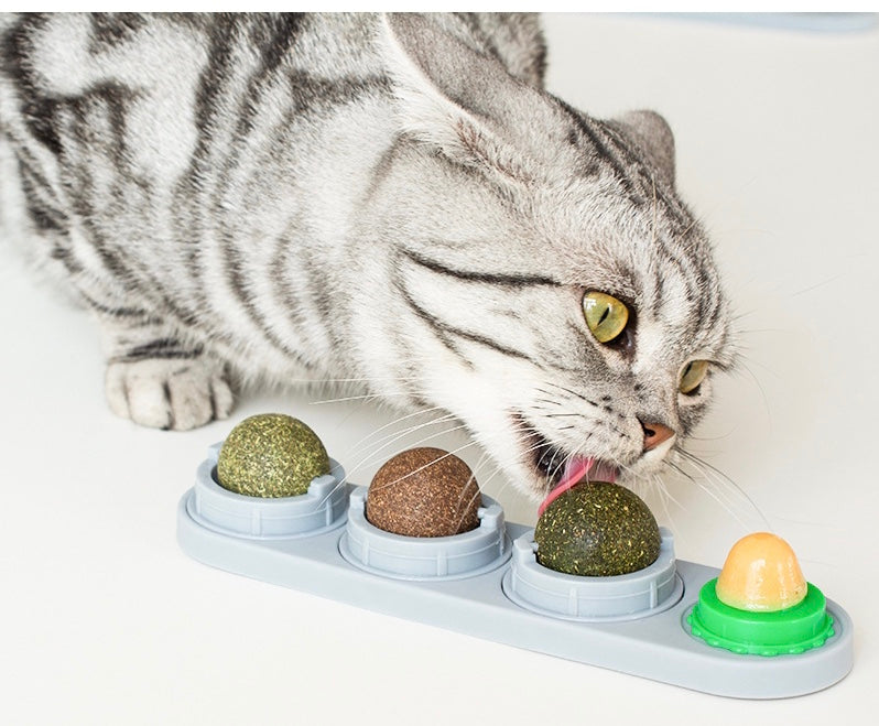 A colorful assortment of catnip treats for cats, showcasing various shapes and sizes, made from 100% natural ingredients.