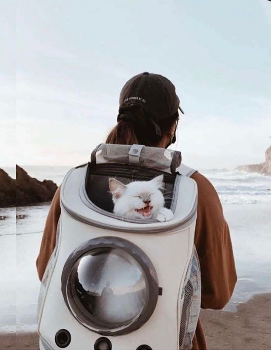 Cats and Dogs Backpack featuring a transparent design, ventilation holes, and ergonomic straps for pet comfort and safety during travel.