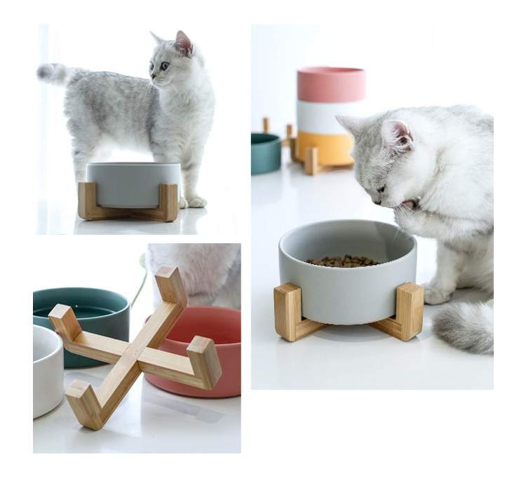 Ceramic bowl with bamboo stand designed for dogs and cats, featuring a stylish and stable design in vibrant colors.
