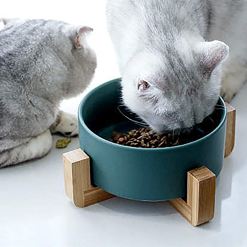 Ceramic bowl with bamboo stand designed for dogs and cats, featuring a stylish and stable design in vibrant colors.