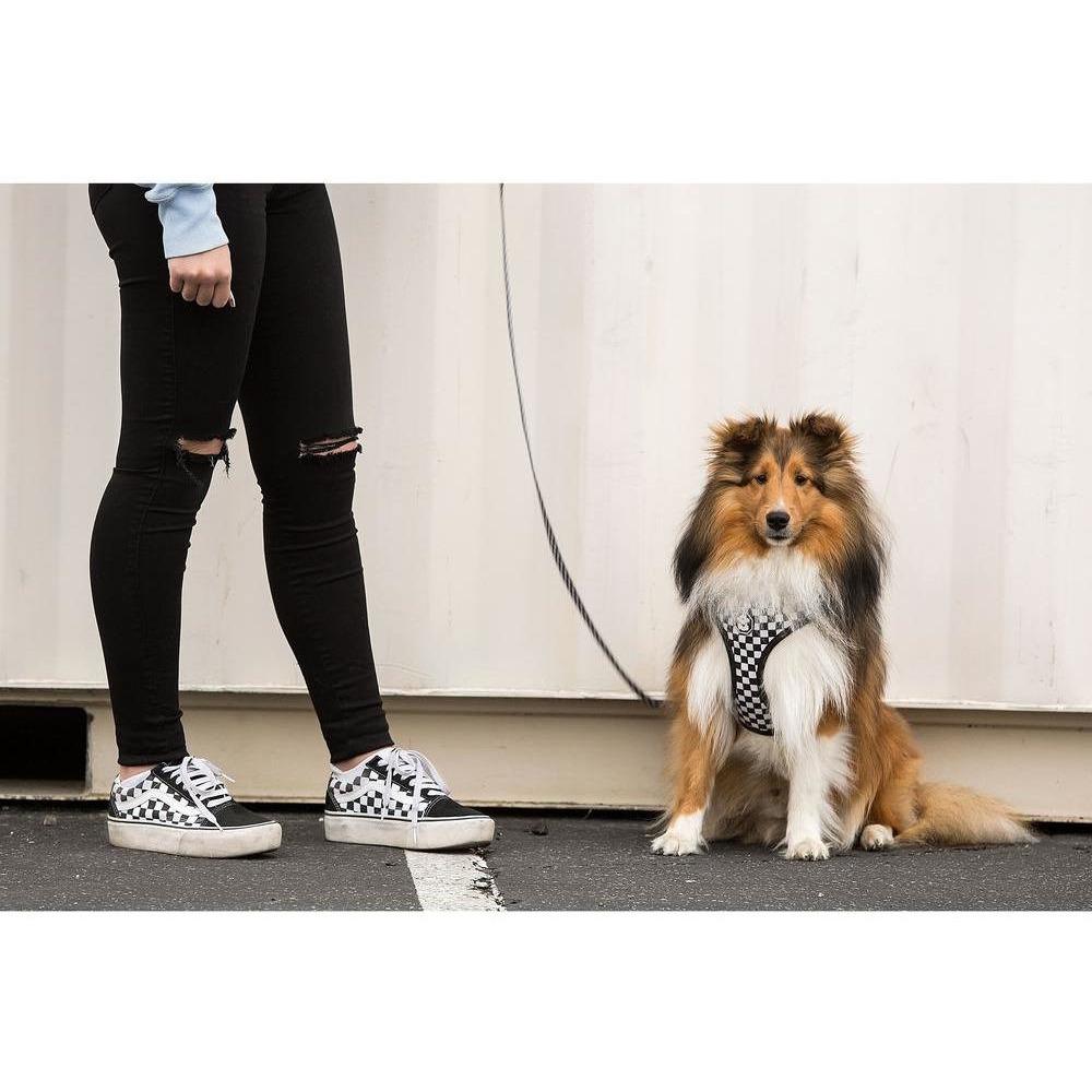 Checkerboard Adjustable Mesh Harness for dogs, featuring breathable mesh fabric, neoprene padding, and reflective tape for safety.