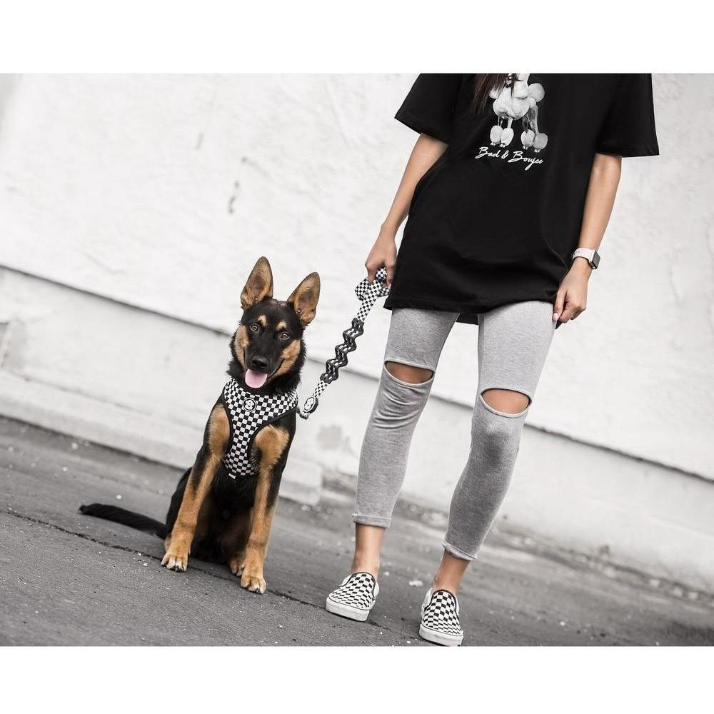 Checkerboard Adjustable Mesh Harness for dogs, featuring breathable mesh fabric, neoprene padding, and reflective tape for safety.