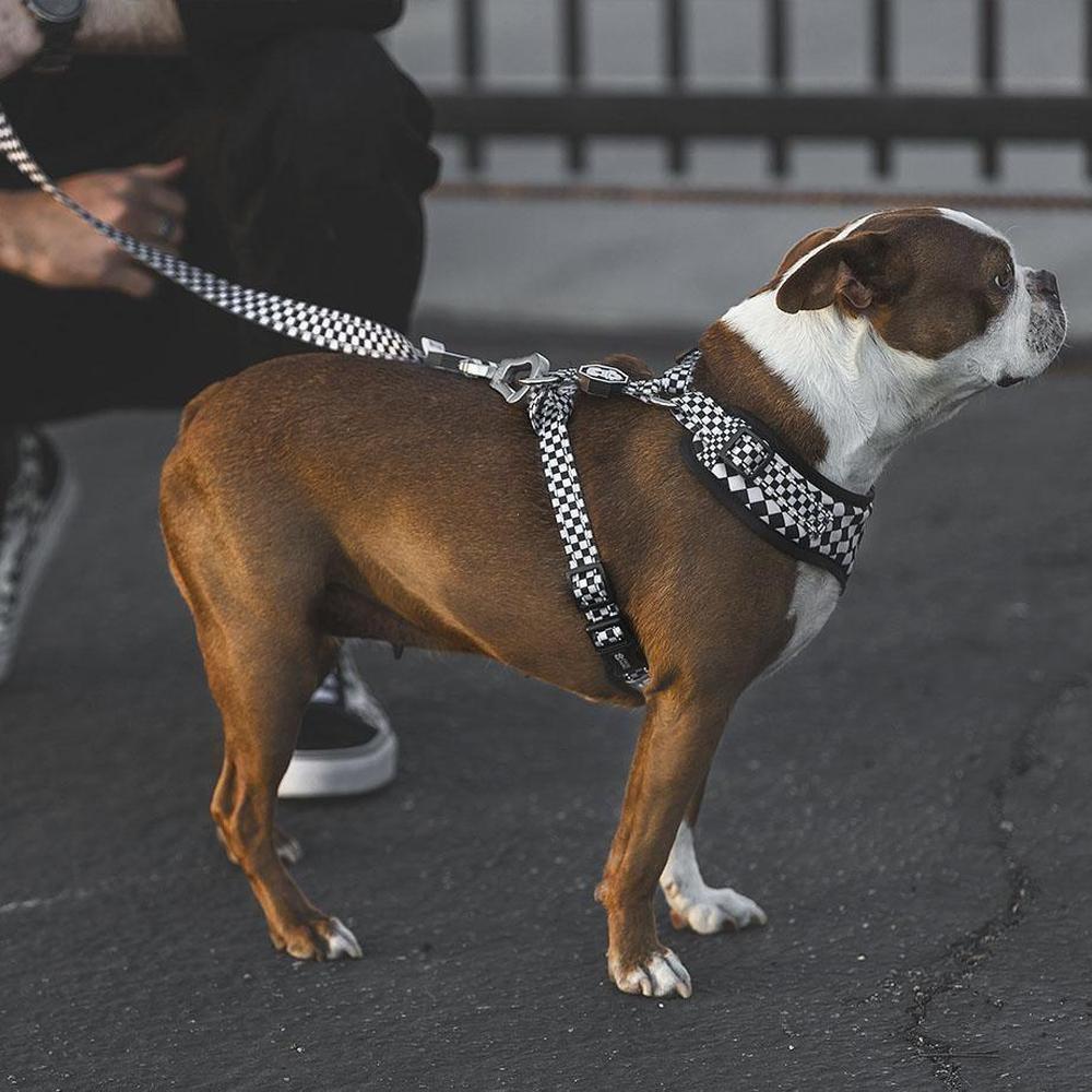 Checkerboard Adjustable Mesh Harness for dogs, featuring breathable mesh fabric, neoprene padding, and reflective tape for safety.