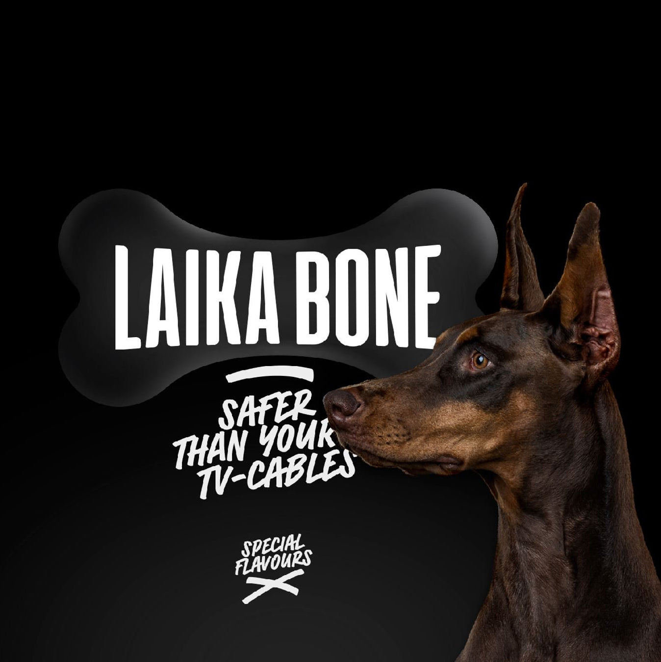 LAIKA BONE Cheese & Salmon box featuring natural, lactose-free cheese chews for dogs, rich in protein and calcium.