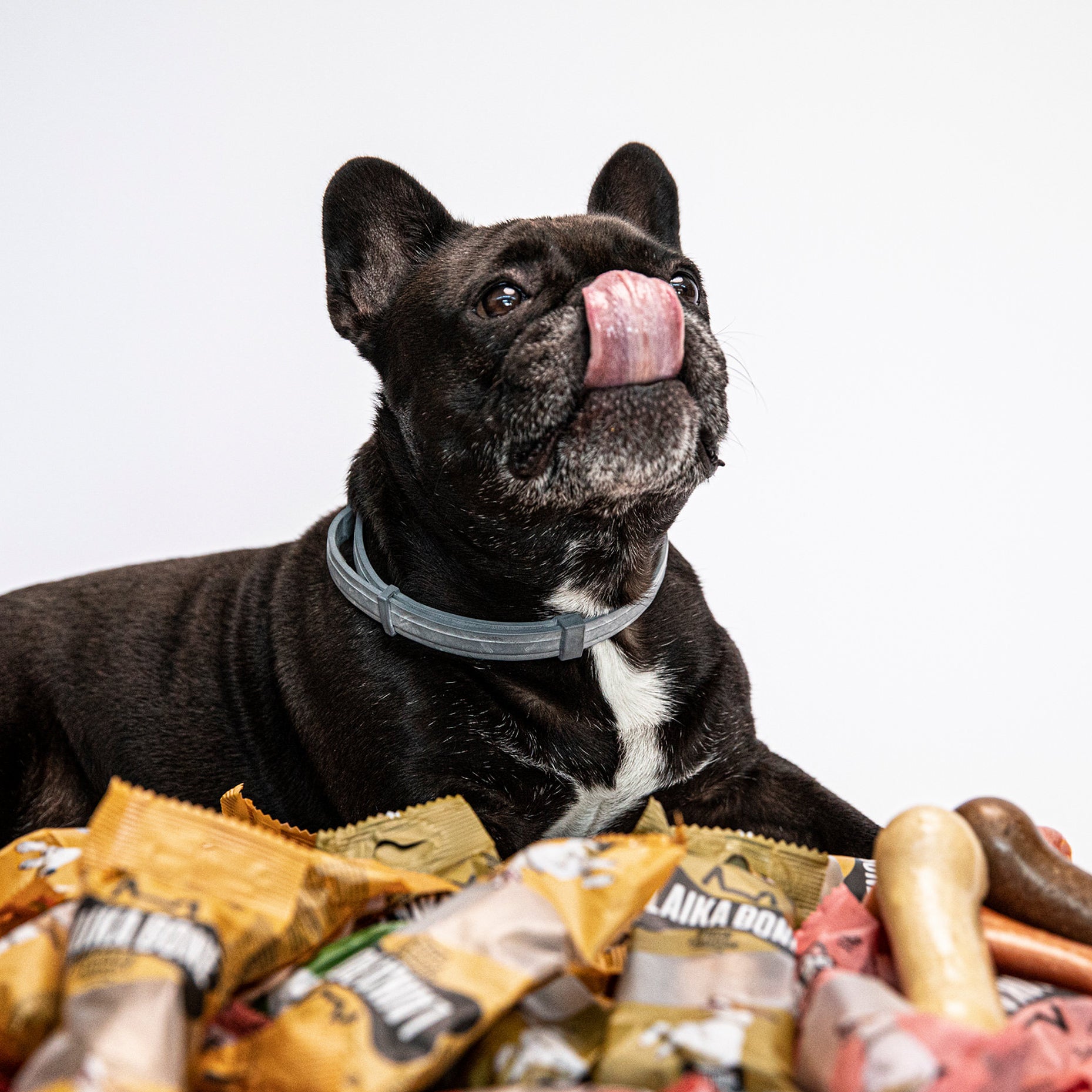 LAIKA BONE Cheese & Salmon box featuring natural, lactose-free cheese chews for dogs, rich in protein and calcium.