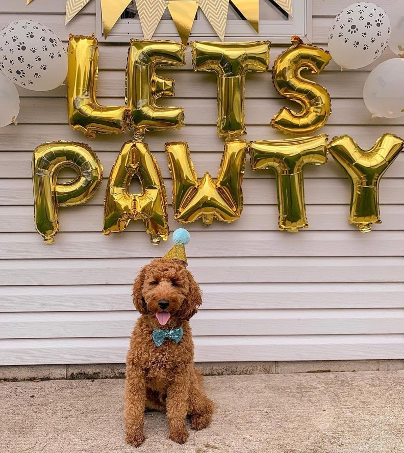 A festive Christmas hat designed for cats, featuring soft fleece material and a comfortable fit, perfect for holiday celebrations.