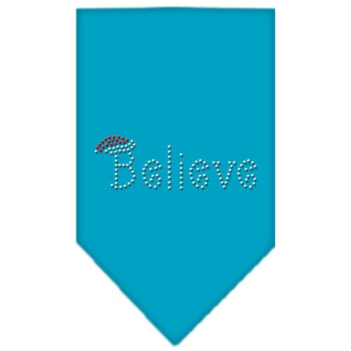 Christmas pet bandana with rhinestone 'Believe' design, perfect for festive occasions.