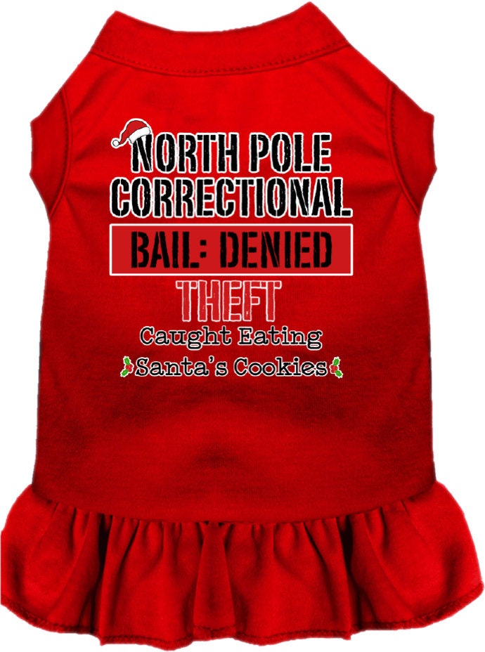 A cute Christmas dress for pets featuring a North Pole Correctional print, with a ruffled bottom and sleeveless design, suitable for dogs and cats.