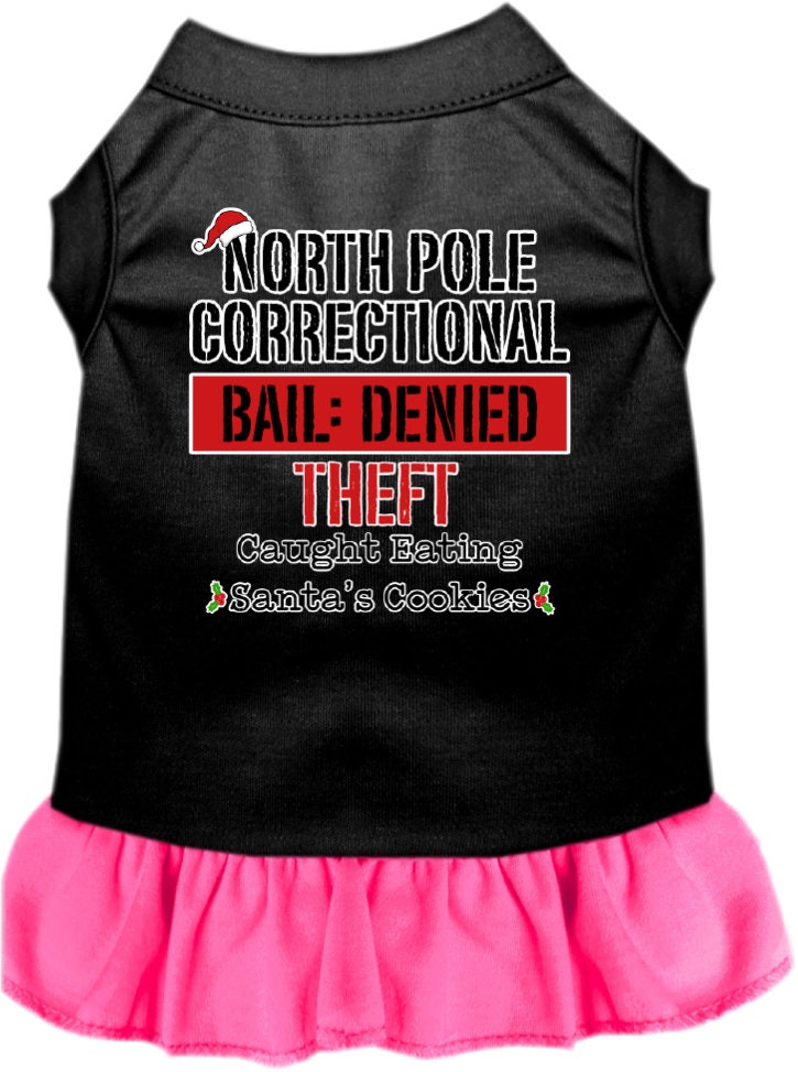 A cute Christmas dress for pets featuring a North Pole Correctional print, with a ruffled bottom and sleeveless design, suitable for dogs and cats.