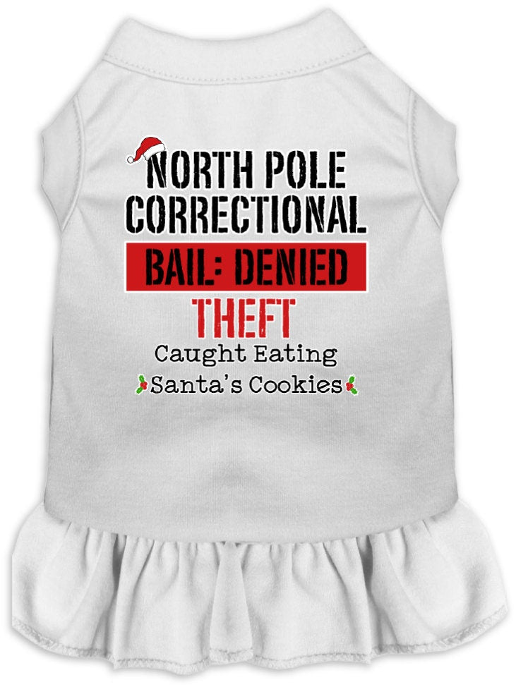 A cute Christmas dress for pets featuring a North Pole Correctional print, with a ruffled bottom and sleeveless design, suitable for dogs and cats.