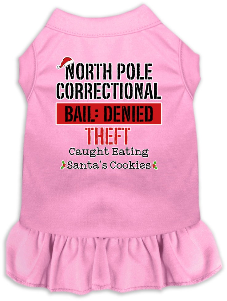 A cute Christmas dress for pets featuring a North Pole Correctional print, with a ruffled bottom and sleeveless design, suitable for dogs and cats.