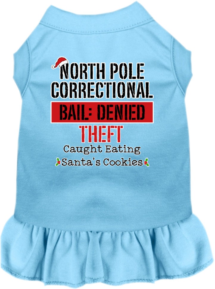 A cute Christmas dress for pets featuring a North Pole Correctional print, with a ruffled bottom and sleeveless design, suitable for dogs and cats.