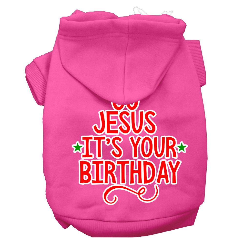 A cozy Christmas pet hoodie for dogs and cats, featuring the screen printed message 'Go Jesus, It's Your Birthday' in festive colors.