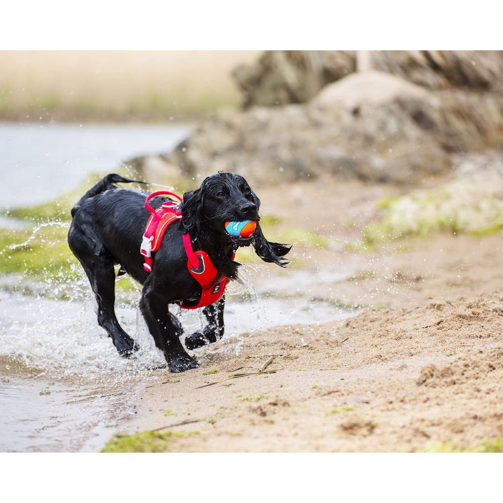 Three colorful Chuckit! Amphibious Balls floating on water, designed for dogs to fetch and play.
