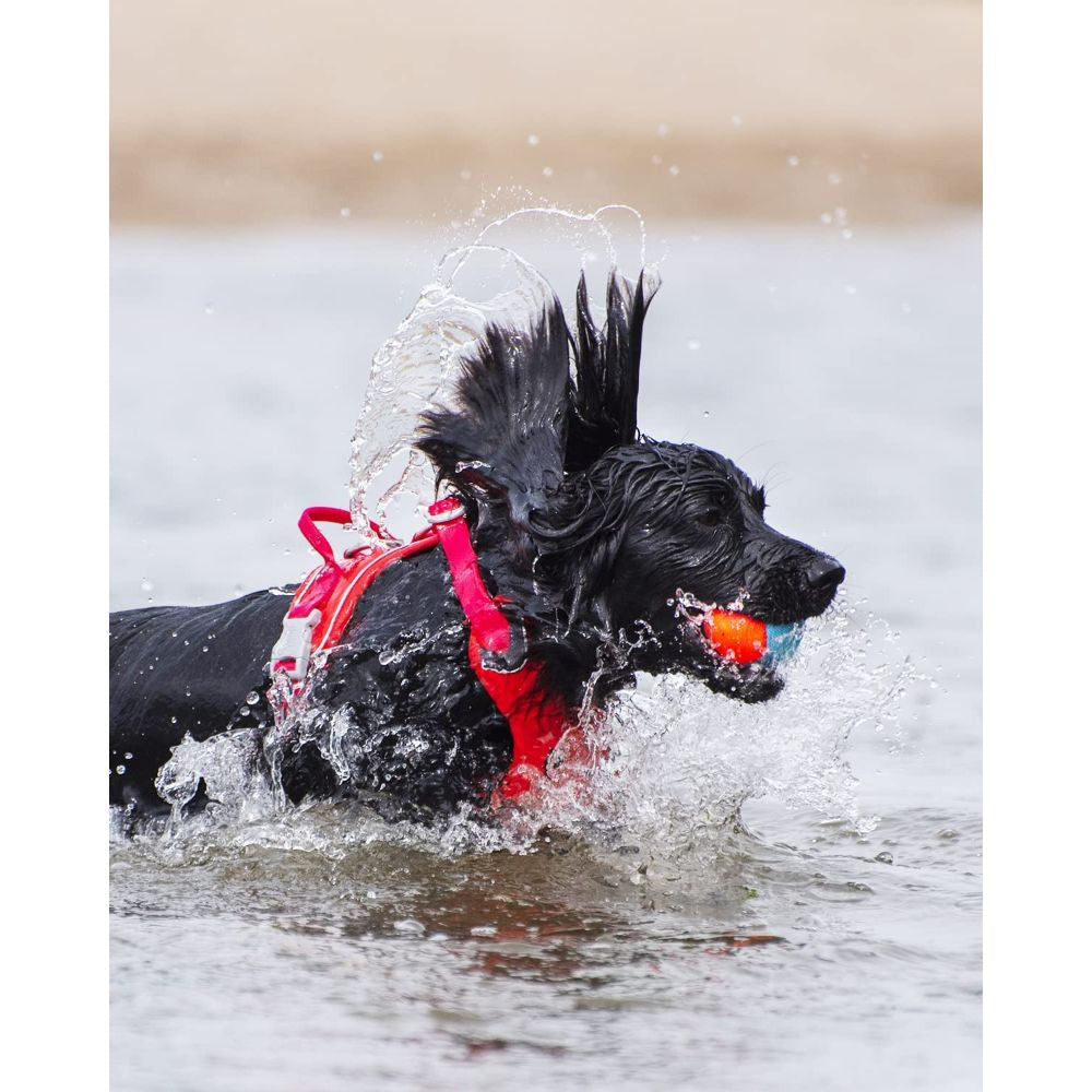 Three colorful Chuckit! Amphibious Balls floating on water, designed for dogs to fetch and play.