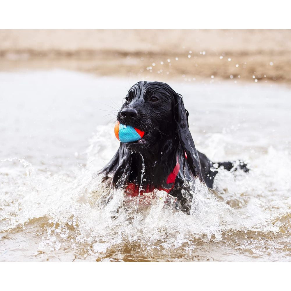 Three colorful Chuckit! Amphibious Balls floating on water, designed for dogs to fetch and play.