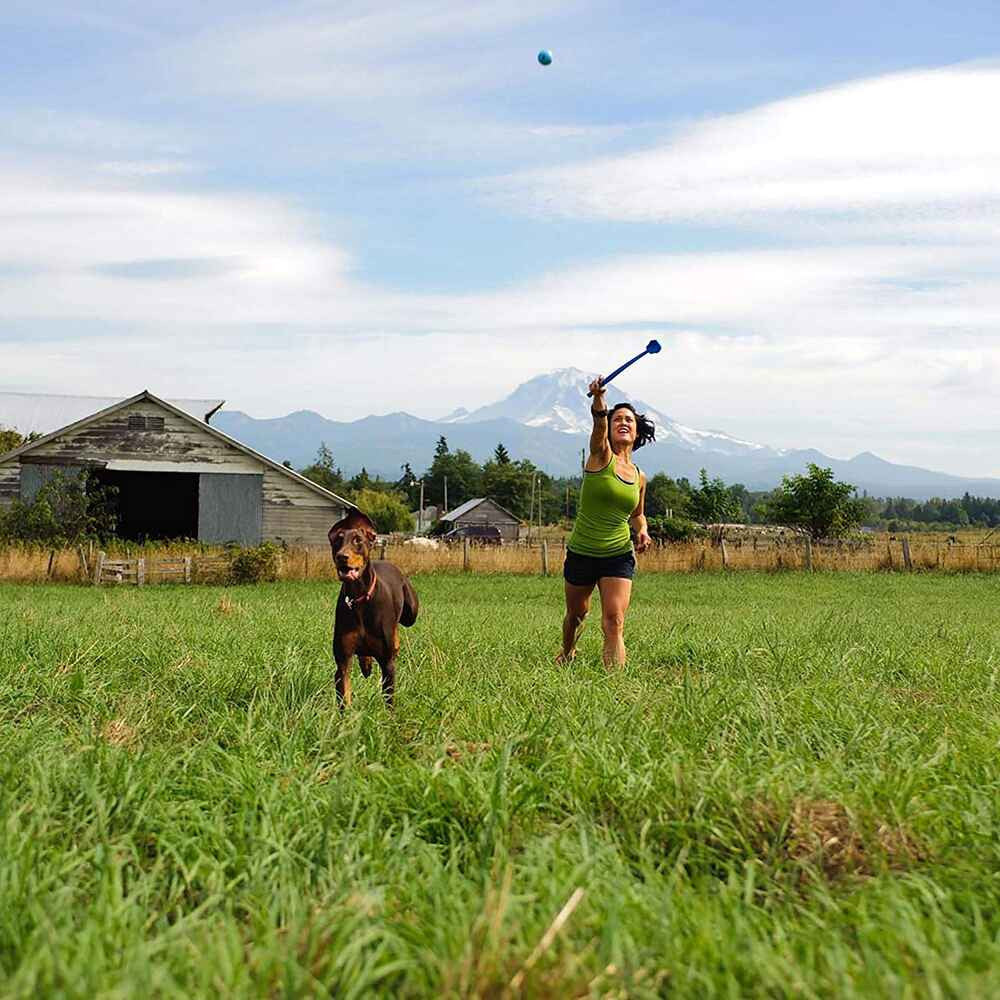 A colorful Chuckit Classic Ball Launcher Dog Toy with a ball, designed for long-distance fetching.