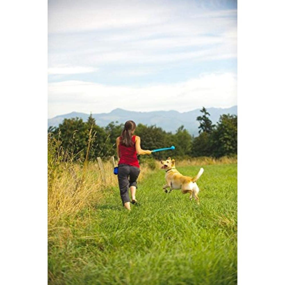 Chuckit! The Whistler Ball Dog Toy in bright color, designed for high-bouncing fetch with whistling sound.