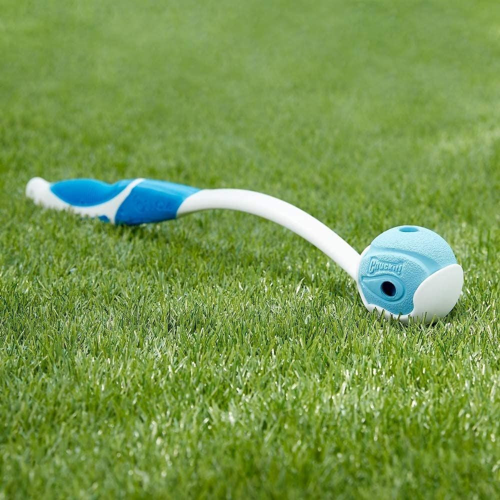 Chuckit! The Whistler Ball Dog Toy in bright color, designed for high-bouncing fetch with whistling sound.